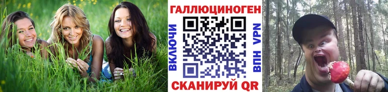 Псилоцибиновые грибы MAGIC MUSHROOMS  маркетплейс какой сайт  Таштагол 